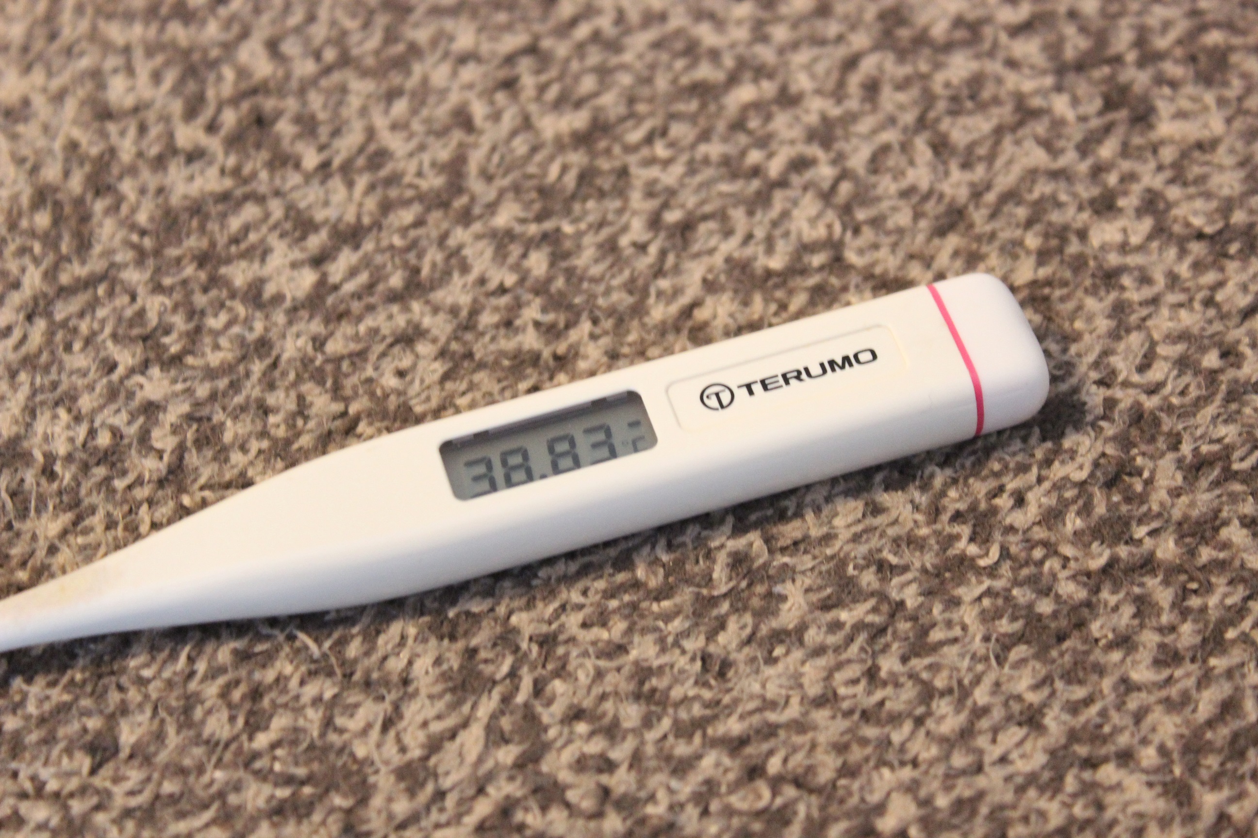 Image result for 発熱