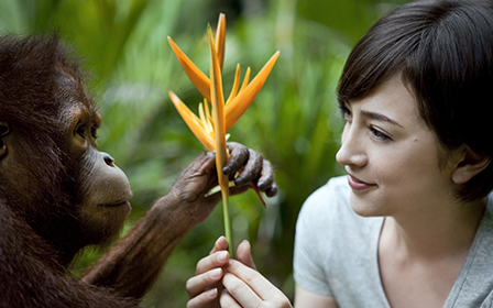 Image result for 滝川クリステル 環境保護活動