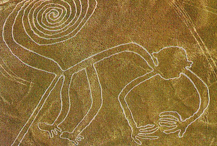 Image result for nasca