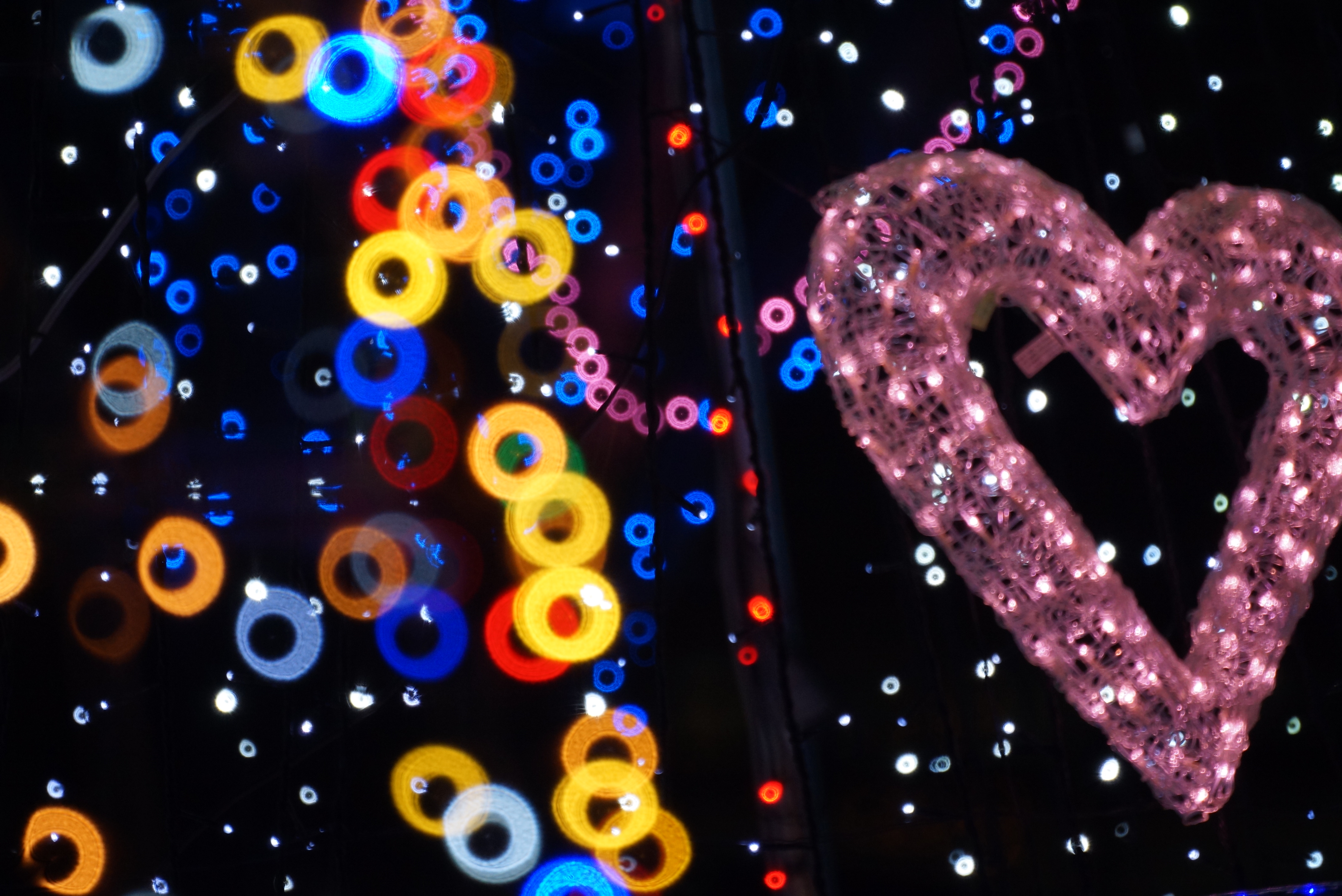 Image result for ミラーレンズカメラ リングボケ