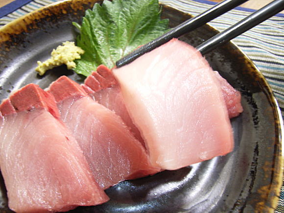 Image result for 氷見の寒ブリ　ぶり起こし