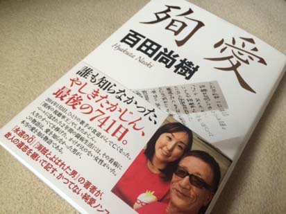 Image result for 殉愛