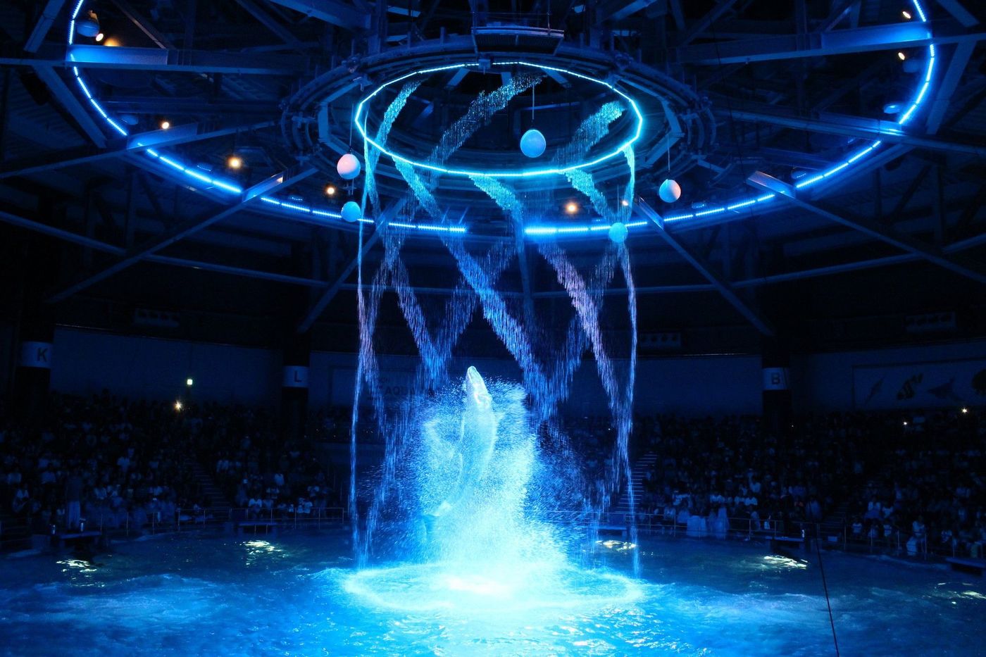 デートスポットを探している人必見 品川でおすすめのデート Hachibachi