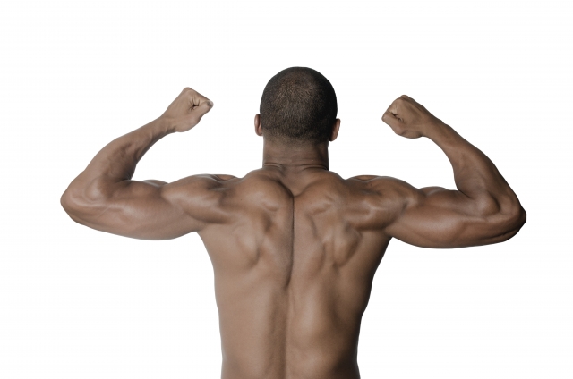 背筋,鍛え方에 대한 이미지 검색결과