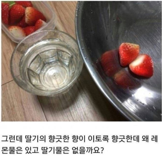 "의식의 흐름대로..." 일상생활 블로거의 아무말 대잔치 1 527 - "의식의 흐름대로..." 일상생활 블로거의 아무말 대잔치