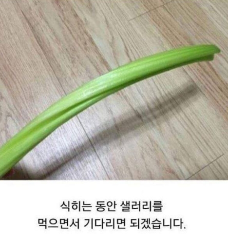 "의식의 흐름대로..." 일상생활 블로거의 아무말 대잔치 10 140 - "의식의 흐름대로..." 일상생활 블로거의 아무말 대잔치