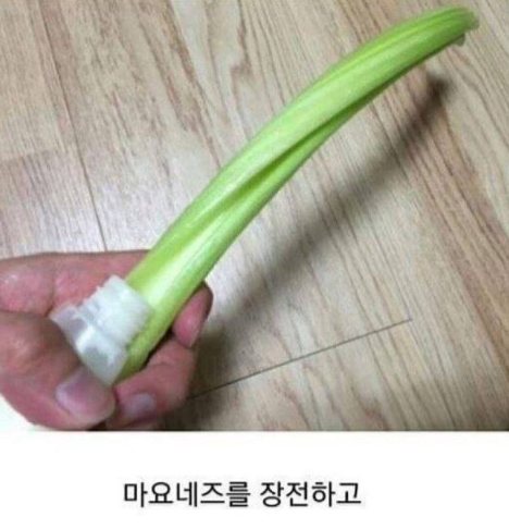 "의식의 흐름대로..." 일상생활 블로거의 아무말 대잔치 11 127 - "의식의 흐름대로..." 일상생활 블로거의 아무말 대잔치