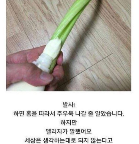 "의식의 흐름대로..." 일상생활 블로거의 아무말 대잔치 12 100 - "의식의 흐름대로..." 일상생활 블로거의 아무말 대잔치