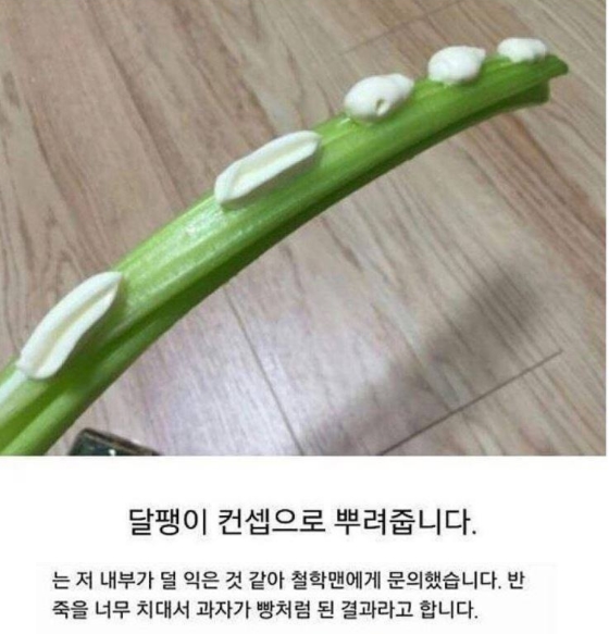 "의식의 흐름대로..." 일상생활 블로거의 아무말 대잔치 13 87 - "의식의 흐름대로..." 일상생활 블로거의 아무말 대잔치