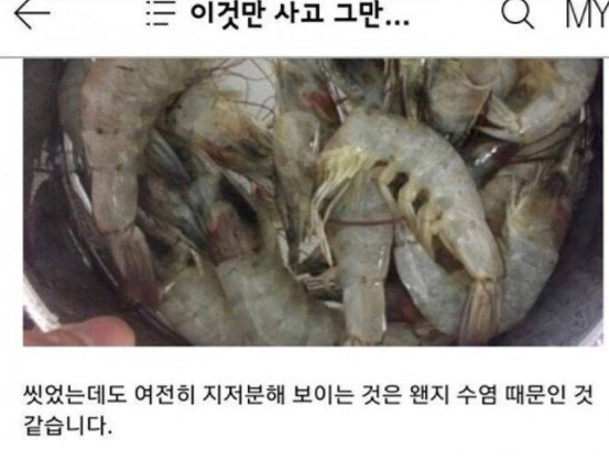 "의식의 흐름대로..." 일상생활 블로거의 아무말 대잔치 17 46 - "의식의 흐름대로..." 일상생활 블로거의 아무말 대잔치