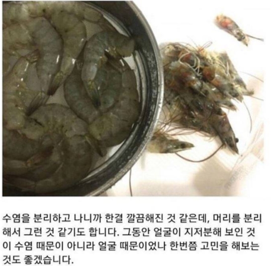 "의식의 흐름대로..." 일상생활 블로거의 아무말 대잔치 18 42 - "의식의 흐름대로..." 일상생활 블로거의 아무말 대잔치