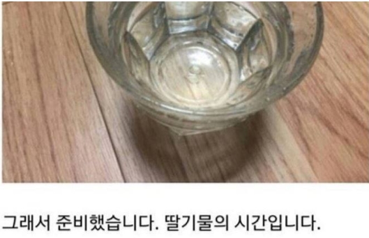 "의식의 흐름대로..." 일상생활 블로거의 아무말 대잔치 2 495 - "의식의 흐름대로..." 일상생활 블로거의 아무말 대잔치