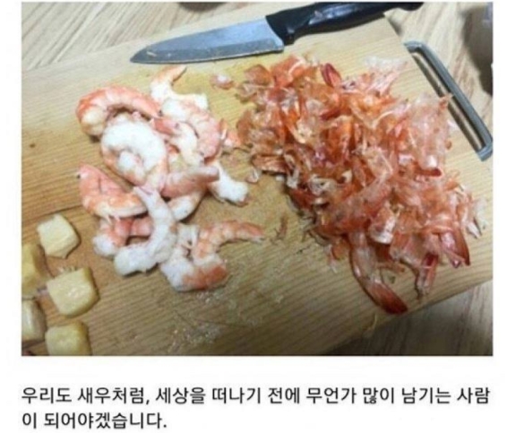 "의식의 흐름대로..." 일상생활 블로거의 아무말 대잔치 20 41 - "의식의 흐름대로..." 일상생활 블로거의 아무말 대잔치