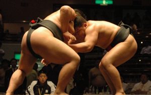 2011-6-sumou
