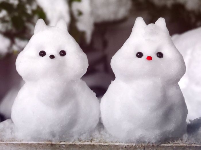 twitter 'sayamaru_417'