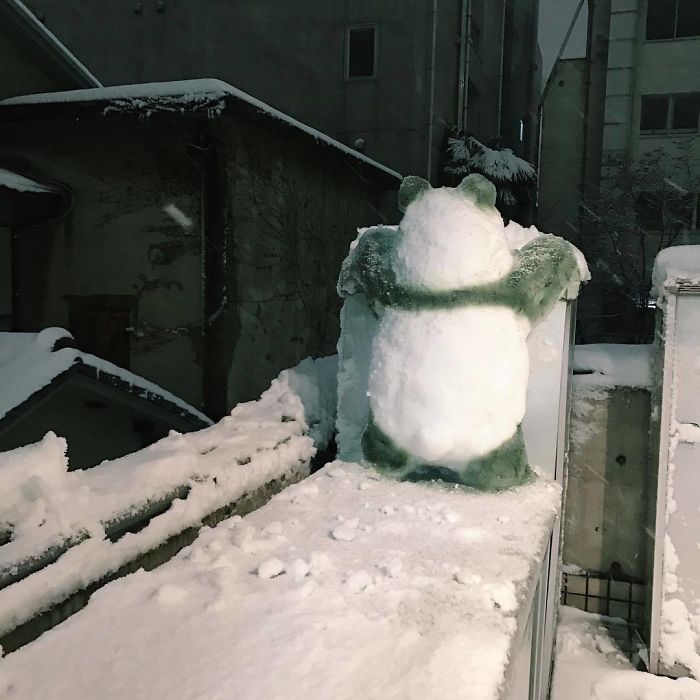 instagram 'raioutasakaguchi'