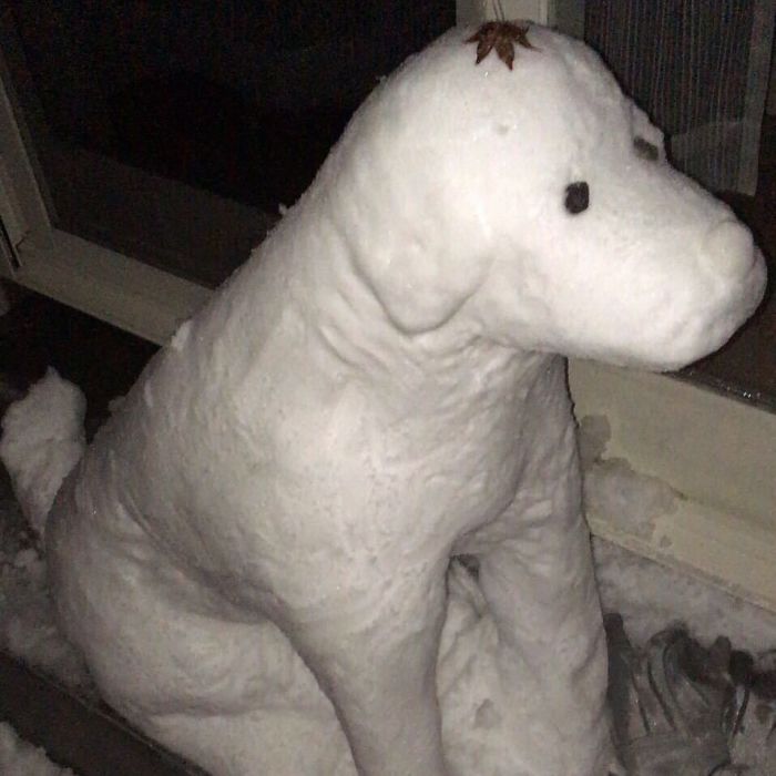 instagram 'dousa.dibi'