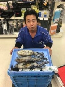 35098_1_20171022162944833-thumb-600x600-268167