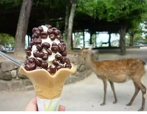 사슴똥 아이스크림