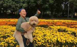 6f7575404df3a7529923b4dd71a5a1d2-540x330