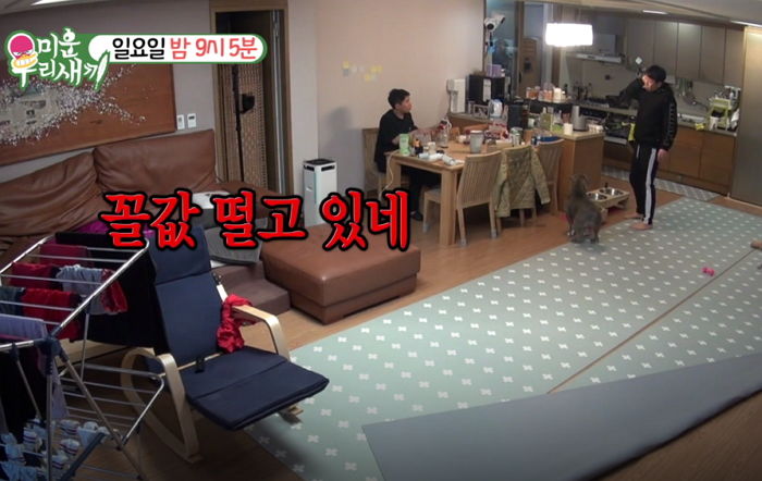 SBS '미운 우리 새끼'