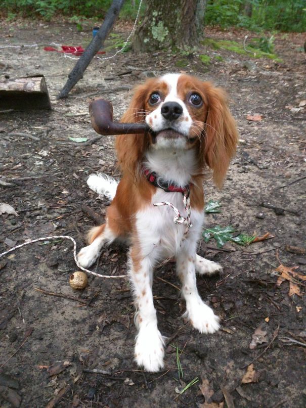 Out Camping A Few Weekends Back And While Setting Up The Tent, I Look Over At My Girlfriend