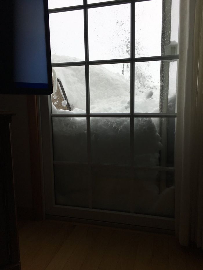 A coisa Anteriormente saber no 'deck Back'. ainda nevando The Thing Formerly Know At The