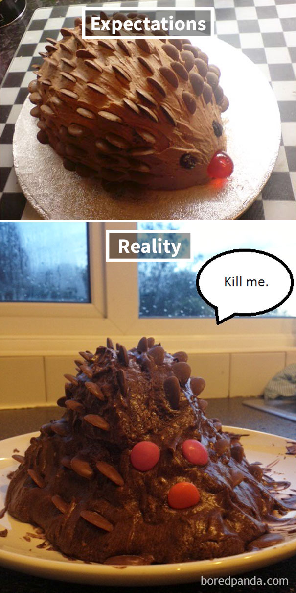 Chocolate Hedgehog Cake Chocolate Hedgehog Cake