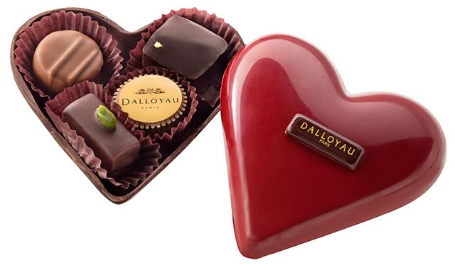 DALLOYAU　チョコ에 대한 이미지 검색결과