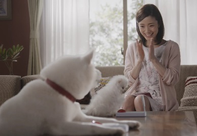 上戸彩 softbank에 대한 이미지 검색결과