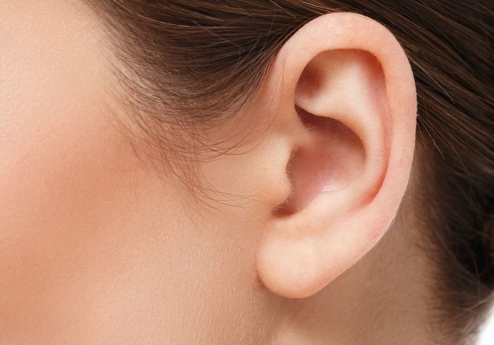 게티이미지뱅크