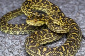 a47c0499284769095784f2081d5b4fb6-e1494677182402