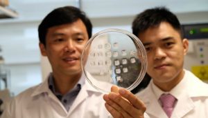 adesivo-queima-gordura-0118-1400x800