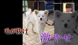 b50b83d0950df524e52d95fa4653738b-1024x596