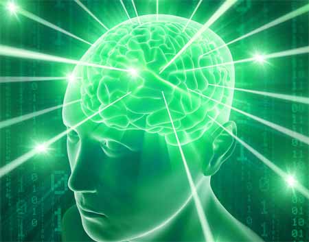 頭　回転が早い에 대한 이미지 검색결과