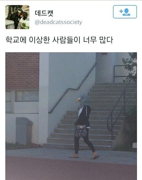 cd298cac02667e9adfb9b2facfda96da