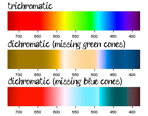 colourvision1