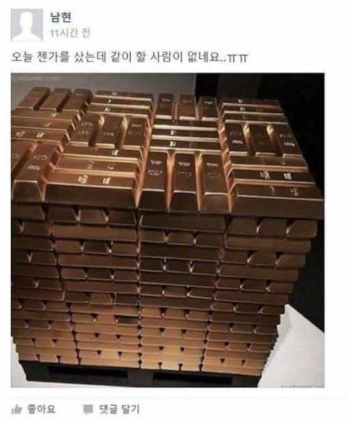 허언증 갤러리