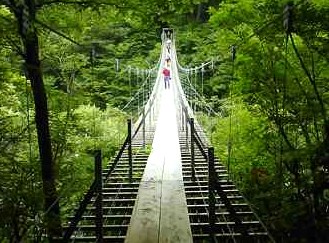 吊り橋効果에 대한 이미지 검색결과