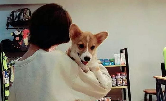 dd4a8b15-064b-424c-99f6-3913ac50269b