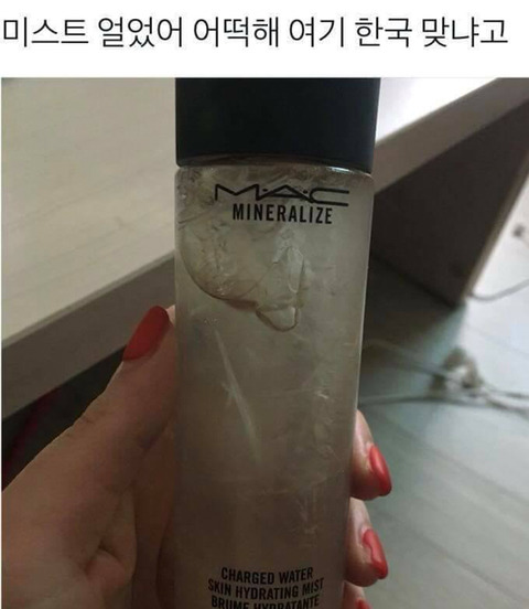 온라인 커뮤니티