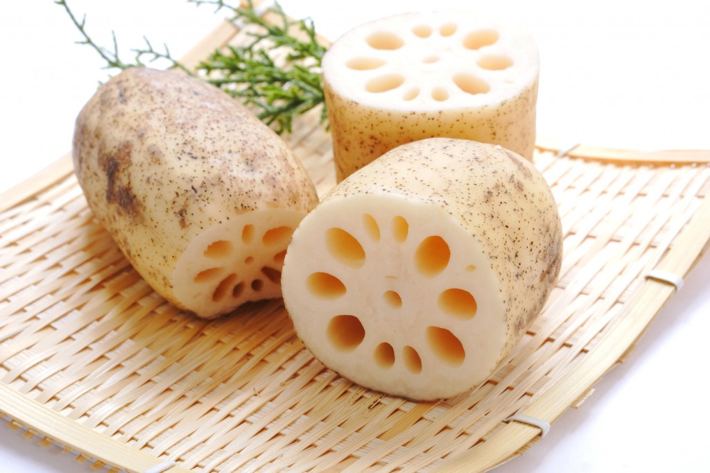 　レンコン에 대한 이미지 검색결과