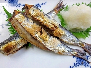 Image result for いわし