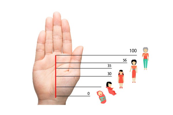 手相占い 運命線에 대한 이미지 검색결과