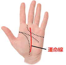 手相占い 運命線에 대한 이미지 검색결과