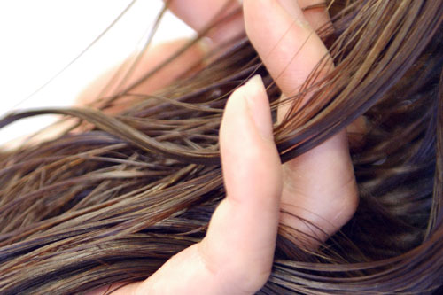 髪の毛　　頭皮에 대한 이미지 검색결과