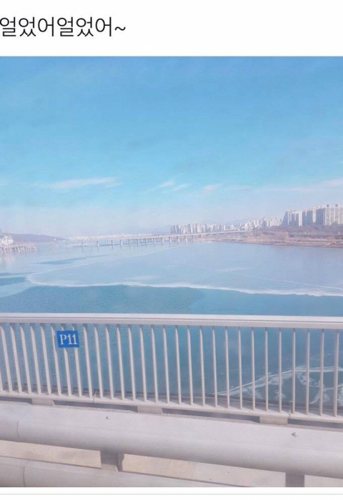 온라인 커뮤니티