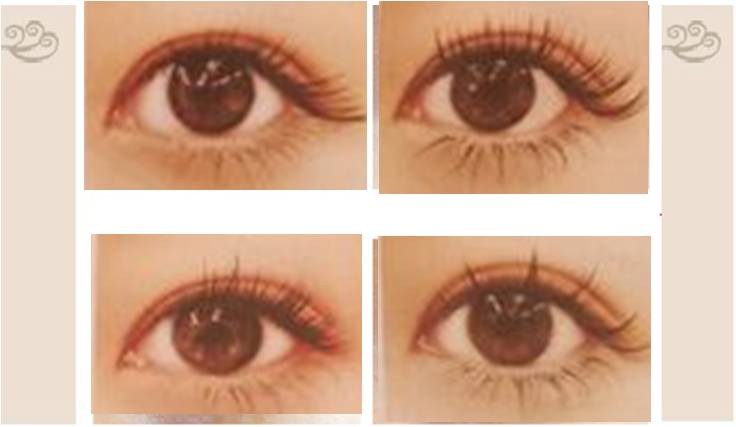 エクステ,本数에 대한 이미지 검색결과