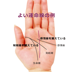 運命線에 대한 이미지 검색결과