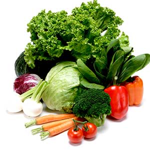 食物繊維에 대한 이미지 검색결과